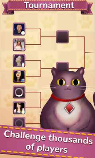 Solitaire Cats 4