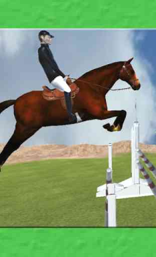 Steeplechase - Horse Jumping 1