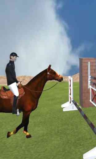 Steeplechase - Horse Jumping 2