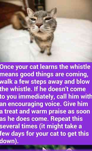 Train your cat whistle PRO 3