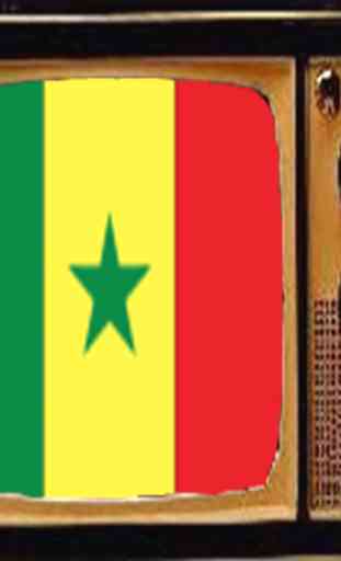 TV Du Sénégal Infos 1