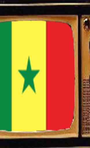TV Du Sénégal Infos 2
