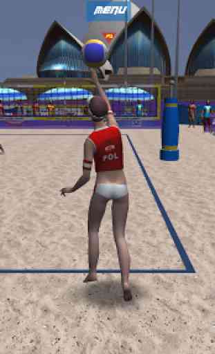 VTree Entertainment Volleyball 3