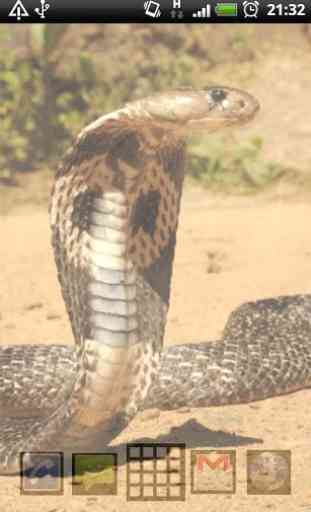 cobras roi serpent lwp 4