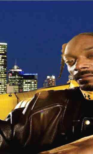 Drivin' Snoop Dogg 2