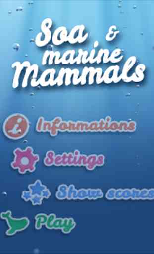 Soa et les mammifères marins 1