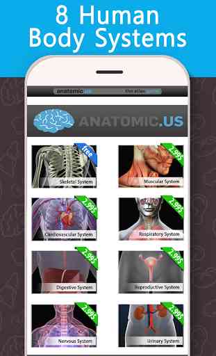 Anatomy Game Anatomicus Lite 1