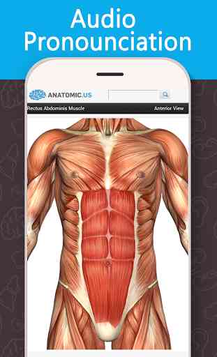 Anatomy Game Anatomicus Lite 2