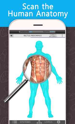 Anatomy Game Anatomicus Lite 4