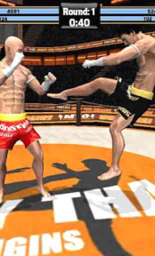 Muay Thai Fighting Origins Pro 1