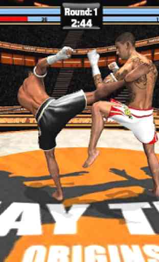 Muay Thai Fighting Origins Pro 2