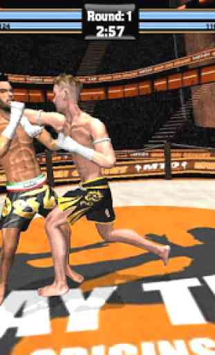 Muay Thai Fighting Origins Pro 4