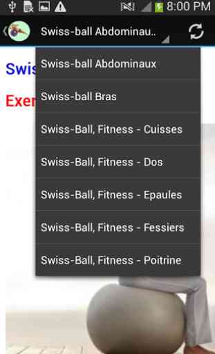Swiss-ball Exercices Fr 2