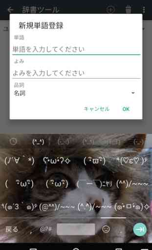 Saisie Google en japonais 3