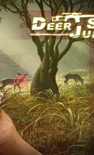 chasse au chevreuil jungle 1