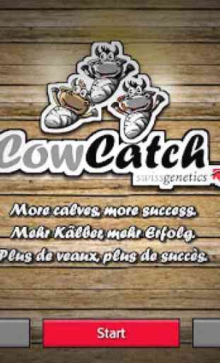 CowCatch 1