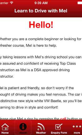 Learn to Drive with Mel 2