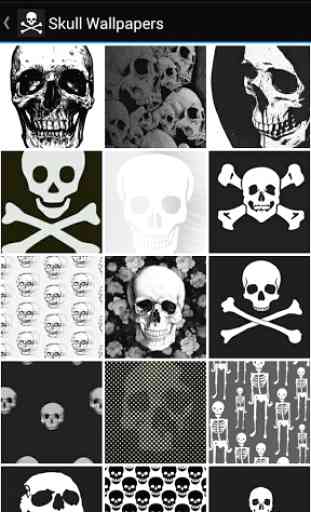 Skull Wallpapers 2