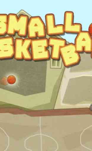 Small BasketBall 1