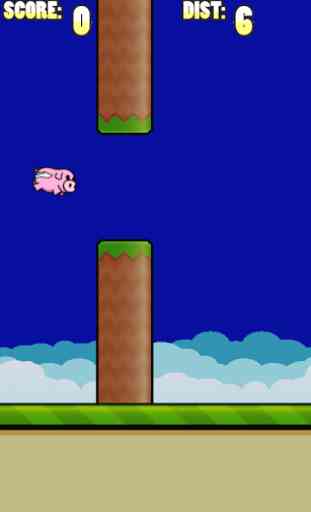 When Pigs Fly 3