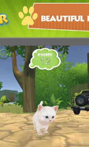 Cat Kitten 3d Online Simulator 1