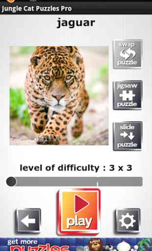 Jungle Cat Puzzles gratuit 3