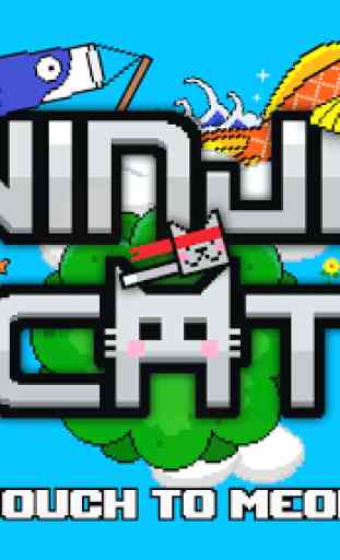 NinjaCat 1
