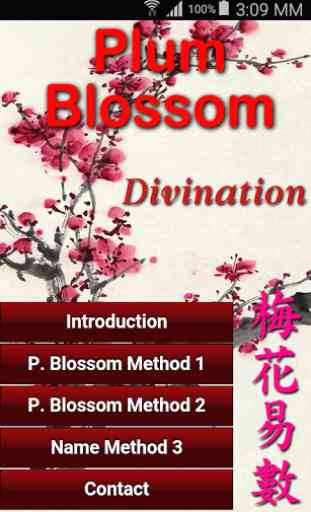 Plum Blossom Divination 1