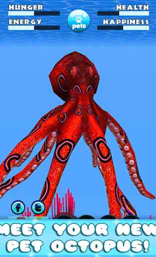 Virtual Pet Octopus 1