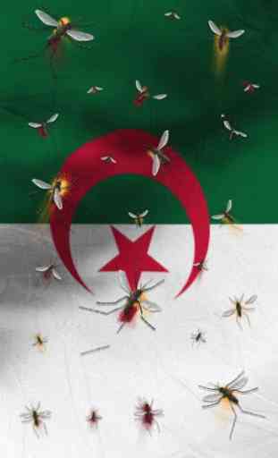 Algeria flag Free 2