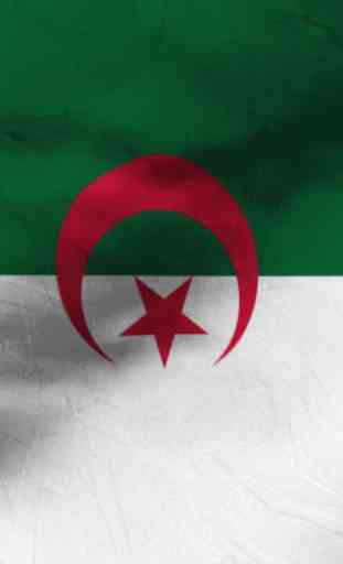 Algeria flag Free 3