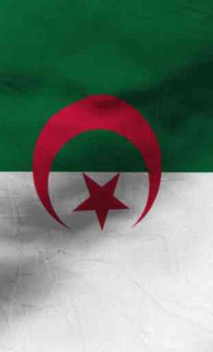 Algeria flag Free 4