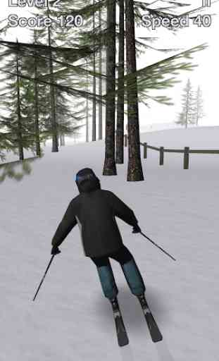 Alpine Ski III 1