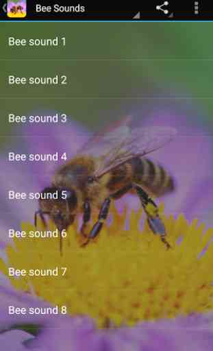Bee Sounds 3