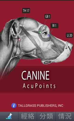 Canine AcuPoints 1