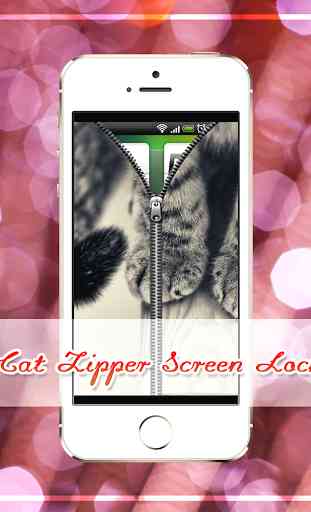 Cat Zipper 1