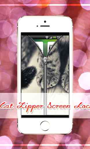 Cat Zipper 4