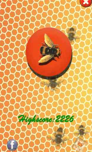 Écrasement abeilles 1