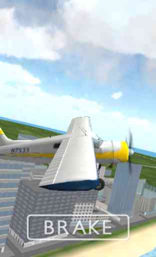 Flight Sim 4