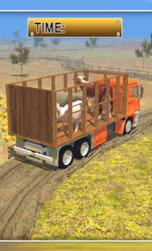 le transport des animaux 2