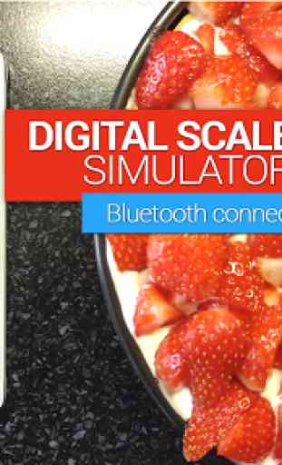 Simulateur échelle Digital IQ 1