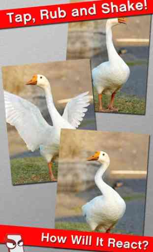 Angry Goose Free! 2