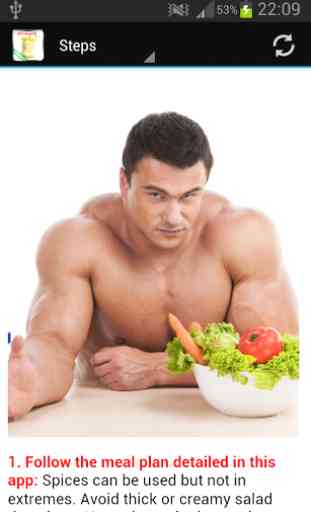 Bodybuilding Diet 2