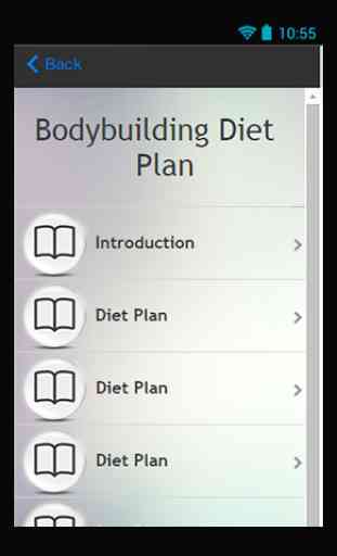 Bodybuilding Diet Plan Guide 2