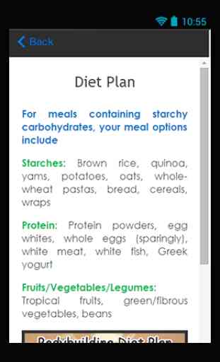 Bodybuilding Diet Plan Guide 3