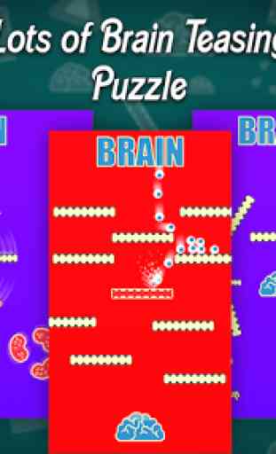 Brain Cells Physique Puzzles 2
