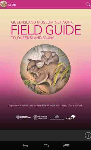Field Guide Queensland Fauna 1