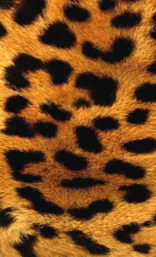 Fond D'écran cristal léopard 1