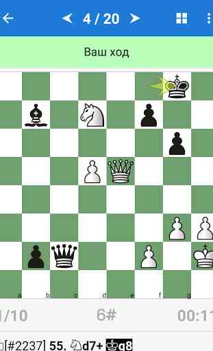 Karjakin - joueur d'échecs 1