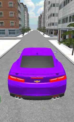 Simulateur de voiture Real 2 4